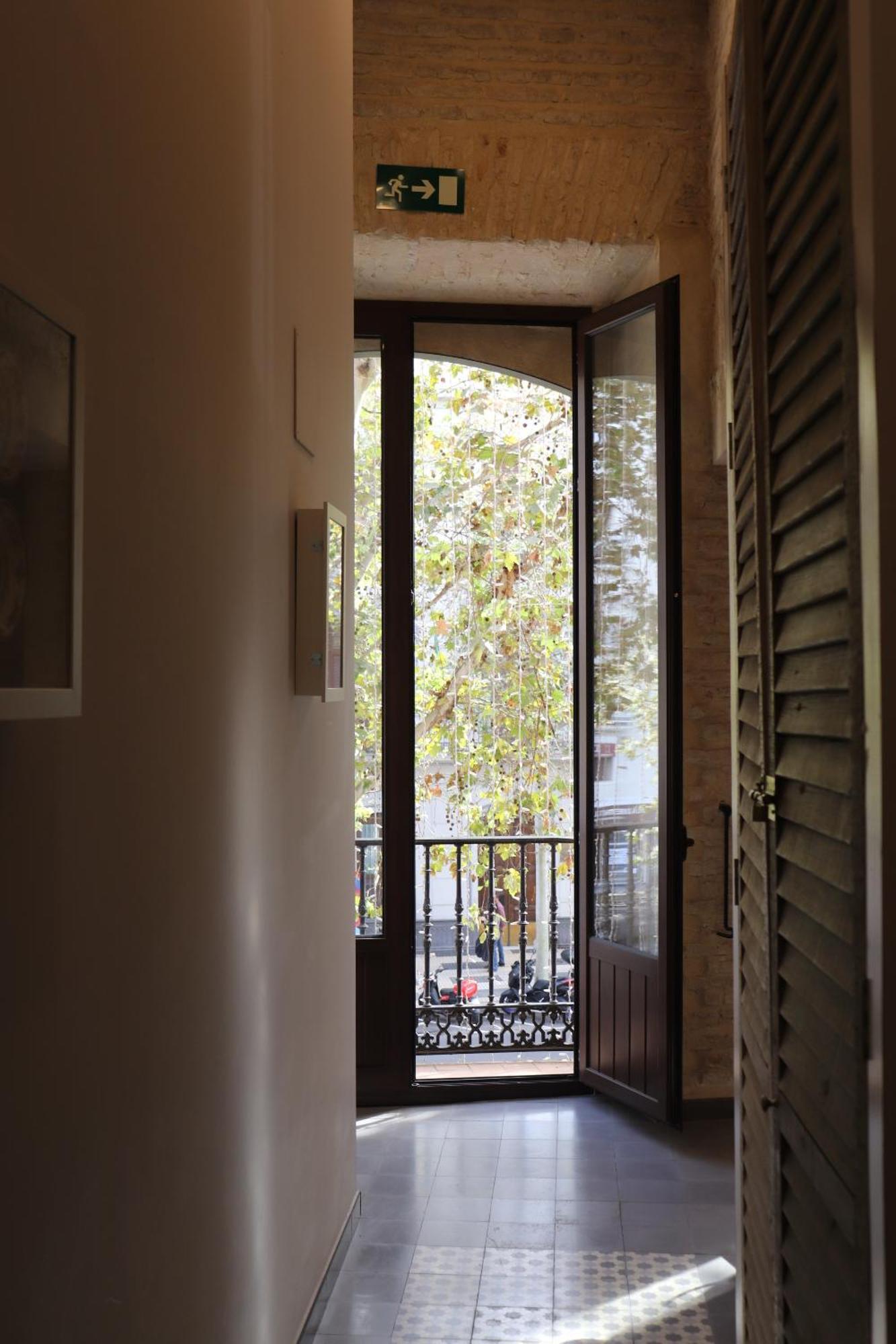 Apartamentos Reyes Catolicos 14 塞维利亚 外观 照片
